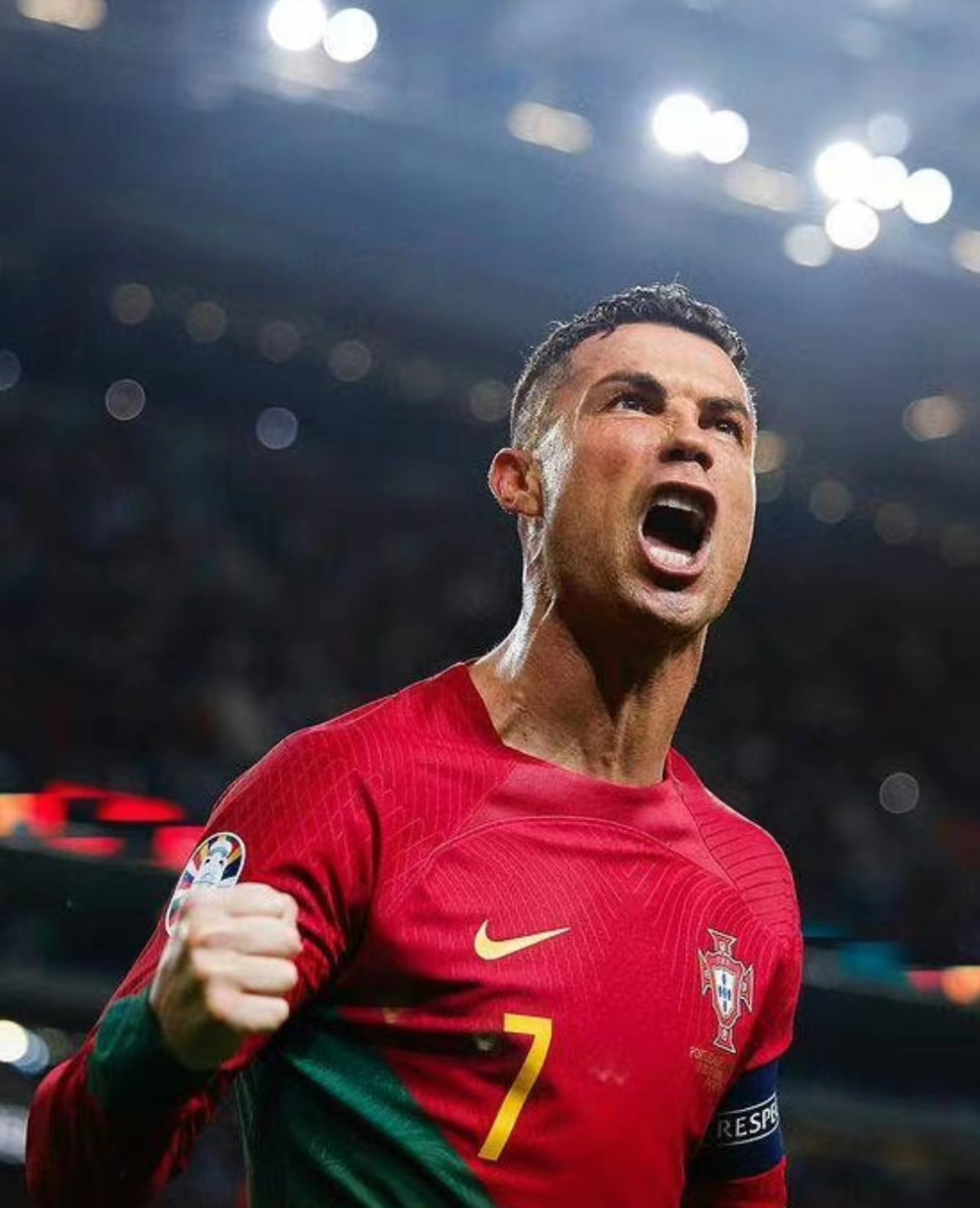 葡萄牙队面对北马其顿队的挑战，能否取得胜利？的简单介绍